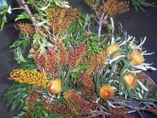 Grevillea robusta with Dryandra in Floral Arrangement